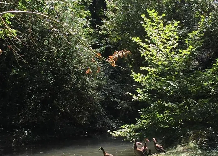 Le De Paul Casa vacanze